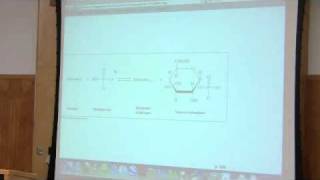 Glycogen Metabolism by Kevin Ahern Part 1 of 4 [upl. by Aniloj710]