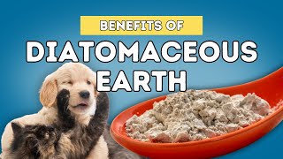 5 Benefits Of Diatomaceous Earth For Dogs and Cats [upl. by Rhoda]