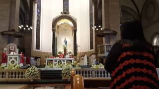 Solemnity of Sts Peter and Paul 2016 Manila Cathedral  Kyrie VIII and Gloria VIII [upl. by Ssidnak837]