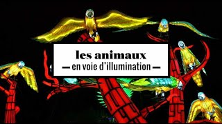 2 minutes avec les animaux en voie dillumination au Jardin des Plantes [upl. by Zorah516]