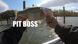 Potomac River Bass Fishing With A Berkley Pit Boss [upl. by Ventura]