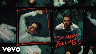 Ruel  too many feelings Lyric Video [upl. by Crockett]