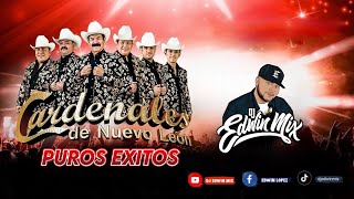 CARDENALES DE NUEVO LEON MIX puros exitos DJ EDWIN MIX 2024 [upl. by Dinnage]