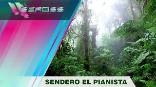 SENDERO EL PIANISTA [upl. by Darej]