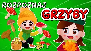 🍄 Kazio i TEST GRZYBIARZA  Grzybobranie dla dzieci  Rozpoznawanie grzybów 🍄 [upl. by Brill]