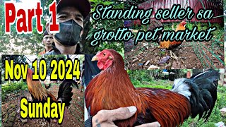 Part 1 standing seller sa grotto pet market  Nov 10 2024 sunday [upl. by Pega312]