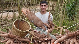 Harvest Cassava Roots And Bring Them To The Market To Sell  Make Charcoal Grilled Cassava Cakes [upl. by Ettevy215]