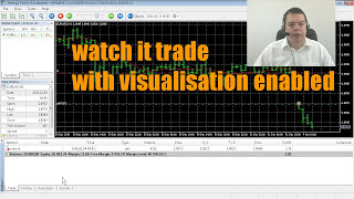 MQL5 Tutorial 7 Running your first Backtest [upl. by Ananna513]