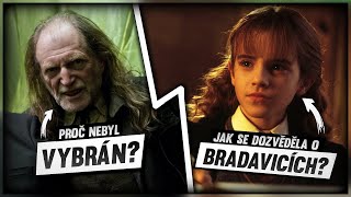 JAK JSOU STUDENTI VYBÍRÁNI DO BRADAVIC  HARRY POTTER  FK [upl. by Haines]