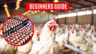 How to start a successful poultry farm in Ghana [upl. by Gallager]