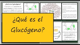 Qué es el GLUCÓGENO Estructura y Función Homopolisacáridos de Reserva Biología Bioquímica [upl. by Scevo]