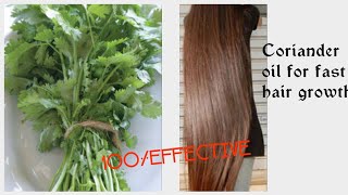 Coriander oil for super fast hair growth challengeHow to grow long and thicken hair faster hindi [upl. by Broeder]