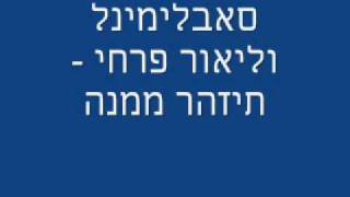 סאבלימינל וליאור פרחי  תיזהר ממנה [upl. by Yatnahs1]