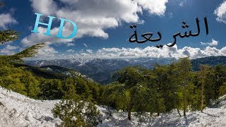 Welcome to Chréa  Blida مرحبا بكم في غابة الشريعة في مدينة البليدة الجزائر [upl. by Rhines310]