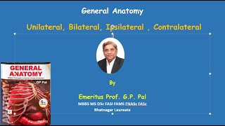 Unilateral Bilateral etc [upl. by Roch109]