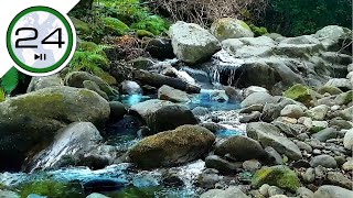 Sonidos VARIADOS de Agua Ríos Arroyos y Cascadas 💦💧 para Dormir Relajarse Estudiar o Meditar [upl. by Krenn565]