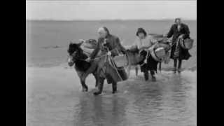 Cockle Gatherers At Penclawdd  1961 [upl. by Reginald]