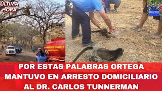 Terribles Imágenes de Monos Congos Cayendo de Arboles Por El Calor en Matagalpa [upl. by Aihsoem]