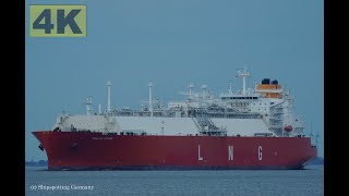 HELLAS ATHINA  Shipspotting Germany 🇩🇪 IMO 9872999  River Elbe near City Otterndorf  4K VIDEO [upl. by Ahsirt787]