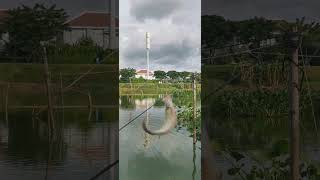 DIY Fishing Pole for 0 Using a Bamboo Stick – It Really Works and Can Catch Fish [upl. by Mirth]