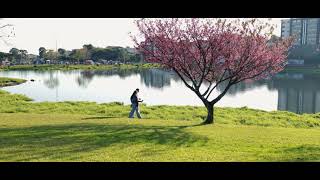 PARQUE DO LAGO DAS CEREJEIRAS  CONHECENDO GUARAPUAVA [upl. by Airekat]