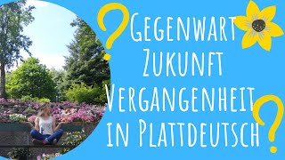 Plattdeutsch lernen für Anfänger I Gegenwart Zukunft amp Vergangenheit in Plattdeutsch [upl. by Teiluj659]