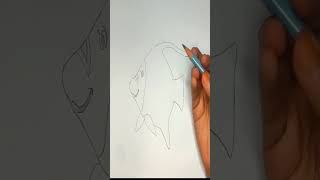 Easy Aquarium fish Drawing drawing drawingideas art aquariumfish easydrawing howtodraw [upl. by Odnala96]