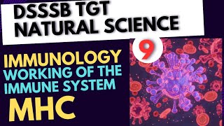 Immunology lecture 9 MHC for DSSSB TGT NATURAL SCIENCE immunologydsssb [upl. by Euqinomahs]