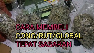 HARGA SARANG WALET FANTASTIS BELI SARANG WALET DENGAN HARGA CONG RUT ATAU GLOBAL [upl. by Retla]