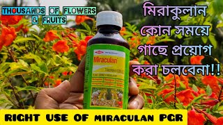 মিরাকুলানMiraculanকখন গাছে ব্যবহার করা যাবে না  How to use Miraculan Best Plant Growth Regulator [upl. by Stock]