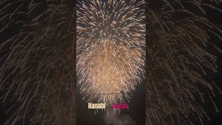 Omg 😱 hanabi kyotamba japanhanabi fireworks [upl. by Eintruok]