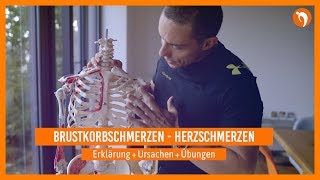 Brustkorbschmerzen 🔸Herzschmerzen 🔸 Erklärung  Ursachen  Übungen [upl. by Anerda689]