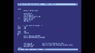 Amiga Hardware Programming 13  Introducing the Blitter [upl. by Yelraf701]