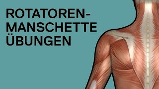 ROTATORENMANSCHETTE ÜBUNGEN ohne Geräte auch gegen Schulterschmerzen [upl. by Lewanna]