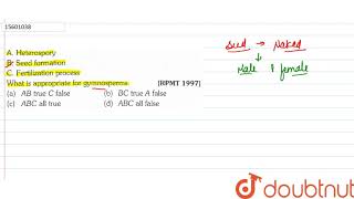 A Heterospory B Seed formation C Fertilization process What is appropriate for gymnosperms [upl. by Aruabea]