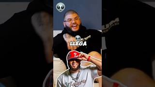 El alfa farruko habla de la canción Xoxo elalfaeljefe alofokeradioshow alofoke yailinlamásviral [upl. by Simsar6]