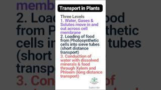 Transport in Plants  Three Levels of Transport in Plants  Plant Physiology [upl. by Cruz]