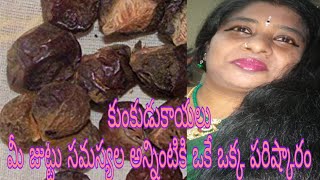 USES OF SOAPNUTSKUNKUDUKAYALU   HAIR CARE  IN TELUGU [upl. by Lolly454]