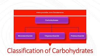 Classification of carbohydrates  Introduction Function amp Classification with Examples [upl. by Solomon]