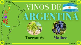 Vinos de ARGENTINA 🍇 Uvas y regiones vinícolas [upl. by Anibor]