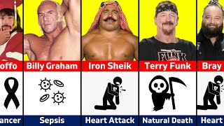 How WWE Wrestlers Died in 2023 [upl. by Hadeis]