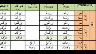 Arabic Verbs  0044 rafaa to lift رفع active voice past present and imperative [upl. by Mouldon]