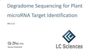 Webinar  Degradome Sequencing for Plant microRNA Target Identification [upl. by Eenad]