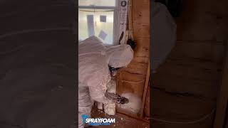 sprayfoaminsulation foam opencell usa contructionwork satisfyingvideo shorts viralshort [upl. by Jenness]