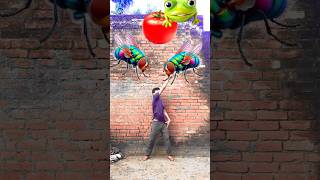 Lizard 🦎 frog 🐸 bee 🐝 vs aha ki tamatar bade majedar trending song trendingviral [upl. by Oikim]