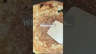 Wheat dosa food foodie comedy dosa [upl. by Lydie]