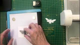 Die Cut amp stamping platform how to [upl. by Urata]