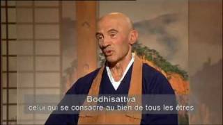 Sagesses Bouddhistes  Le 2ieme voeu du bodhisattva [upl. by Quartis]