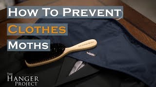 How to Prevent Clothes Moths [upl. by Ees]