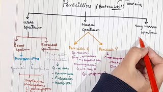 Beta lactam antibiotics Penicillin Katzung Ch 43  Part 13 [upl. by Inal]